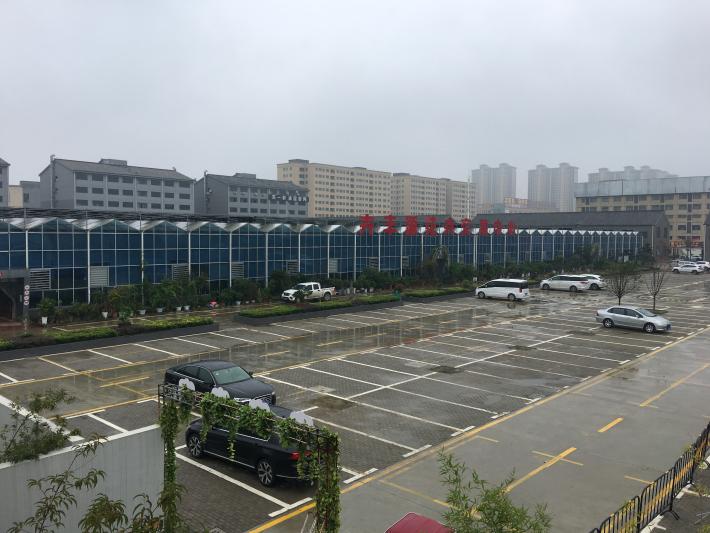 卉丰源花鸟古玩博览中心