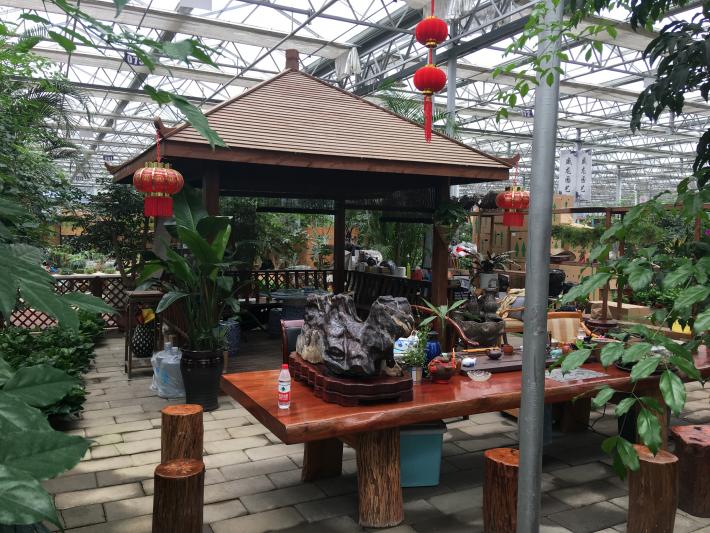 卉丰源花鸟古玩博览中心